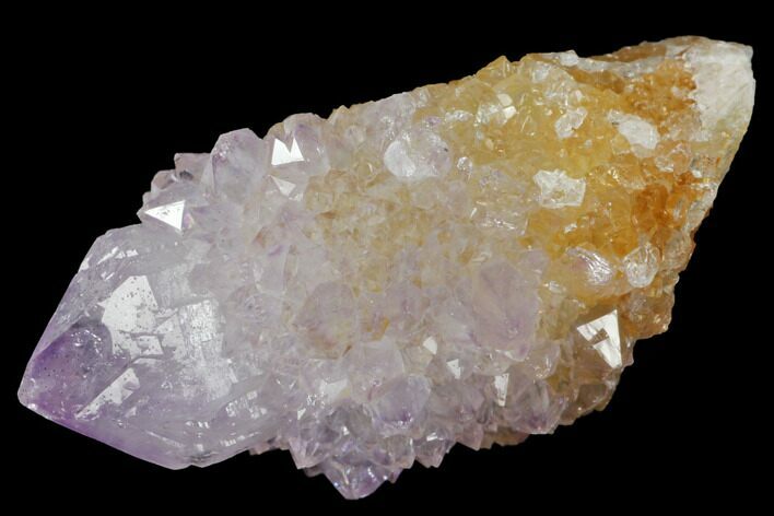 Cactus Quartz (Amethyst) Crystal - South Africa #132456